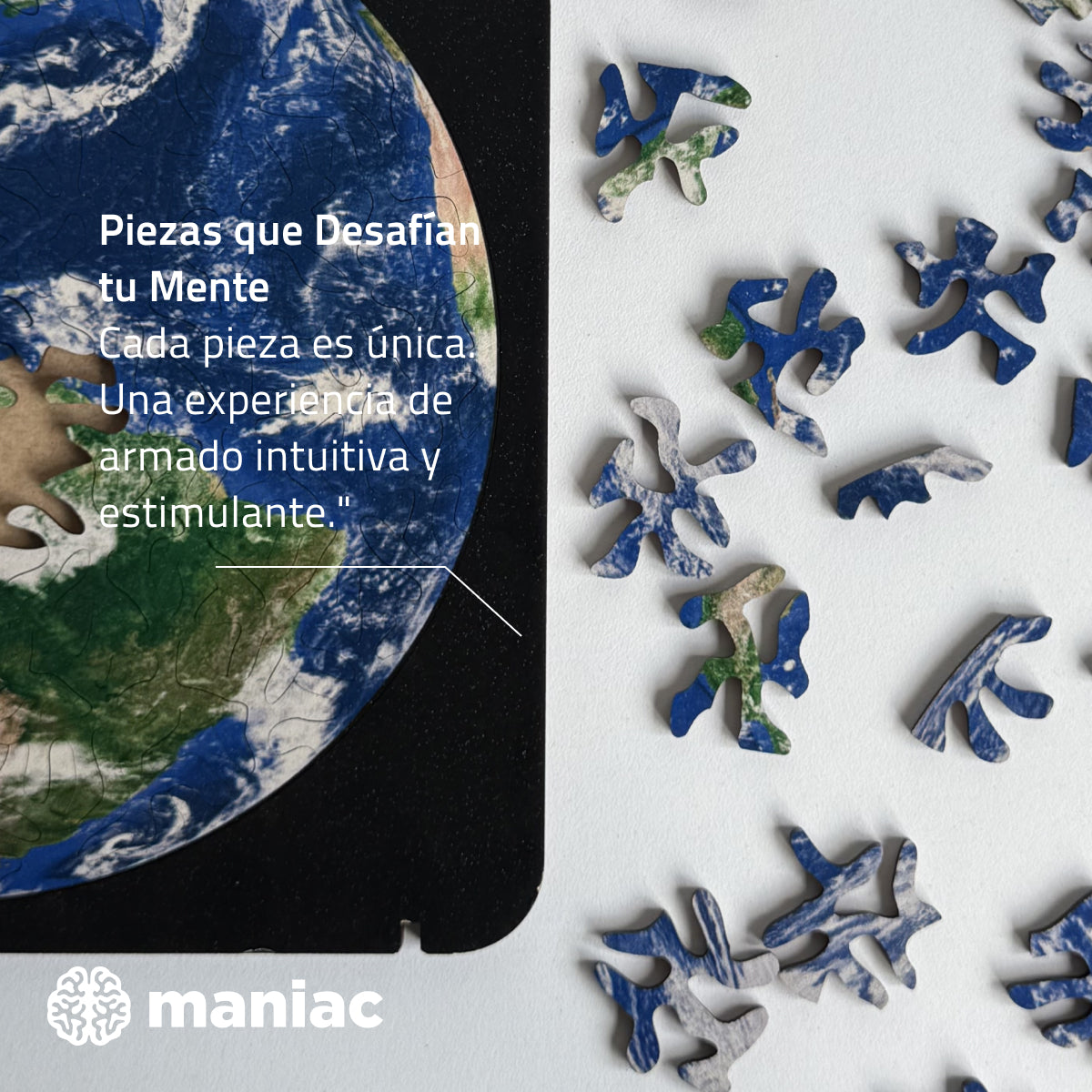 Puzzle Tierra [S]